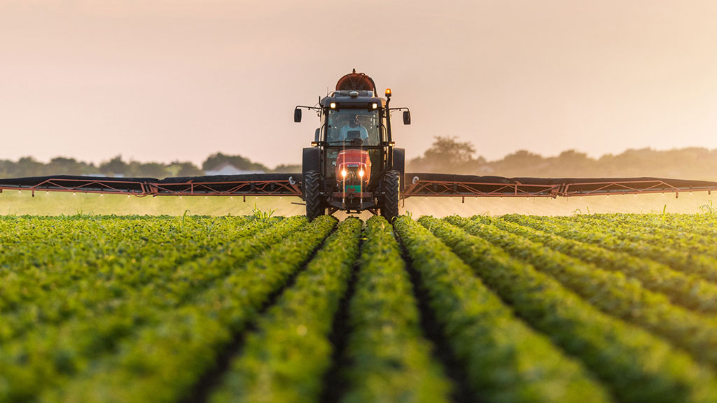 Köylüye Toprak ve Özgürlük